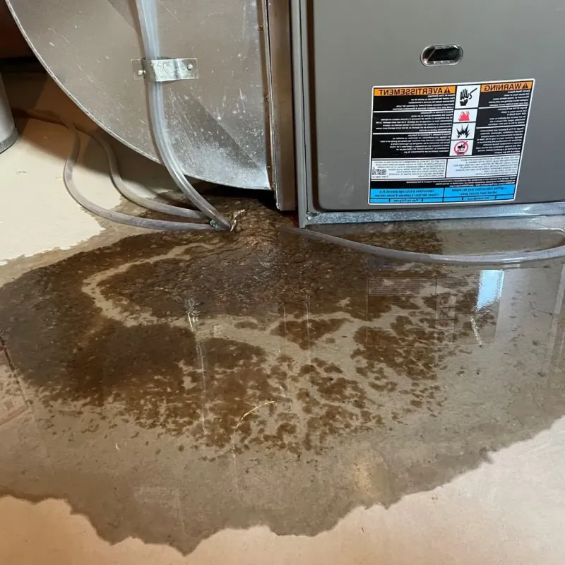 Pipe Burst and Leak Restoration in New Braunfels, TX