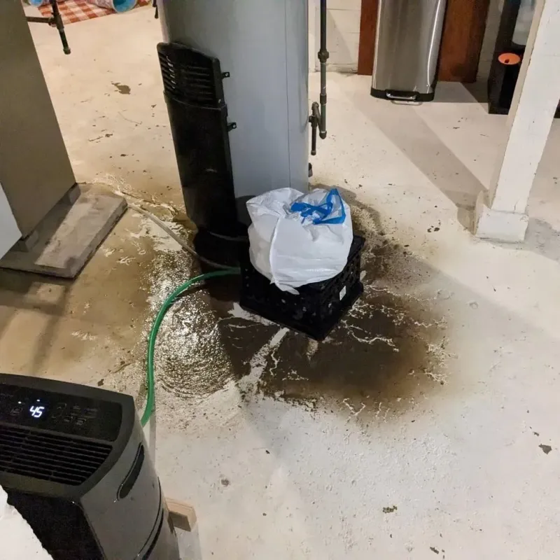 Sewage Backup Cleanup Service in New Braunfels, TX